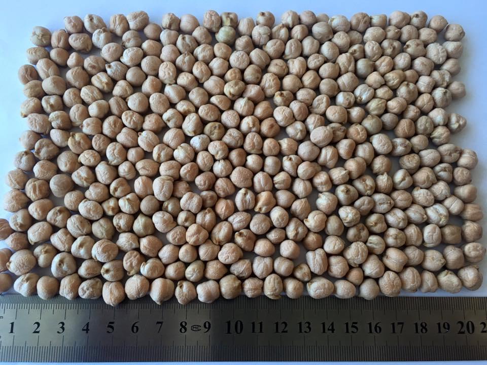 Chickpeas