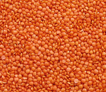 Yellow Split Lentils