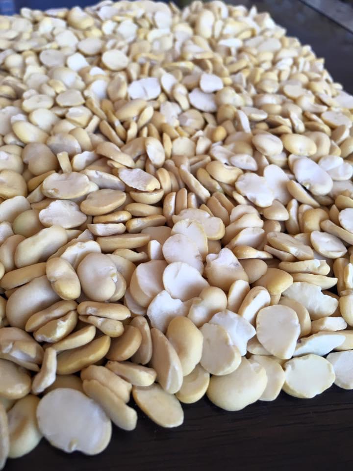 Split Faba Bean